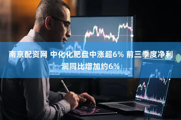 南京配资网 中化化肥盘中涨超6% 前三季度净利润同比增加约6%