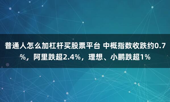 普通人怎么加杠杆买股票平台 中概指数收跌约0.7%，阿里跌超2.4%，理想、小鹏跌超1%