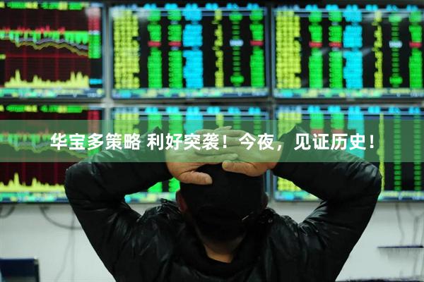 华宝多策略 利好突袭！今夜，见证历史！