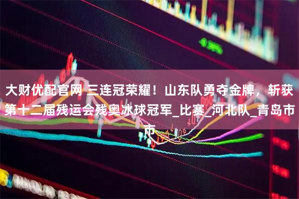 大财优配官网 三连冠荣耀！山东队勇夺金牌，斩获第十二届残运会残奥冰球冠军_比赛_河北队_青岛市
