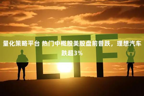 量化策略平台 热门中概股美股盘前普跌，理想汽车跌超3%