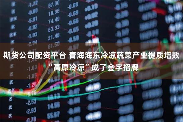 期货公司配资平台 青海海东冷凉蔬菜产业提质增效 “高原冷凉”成了金字招牌