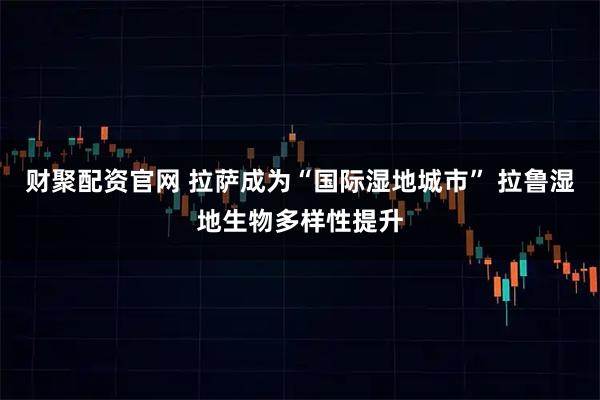财聚配资官网 拉萨成为“国际湿地城市” 拉鲁湿地生物多样性提升